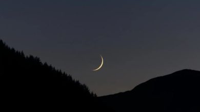 فاتح محرم