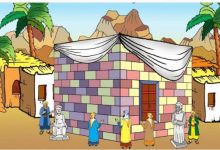 السيرة النبوية