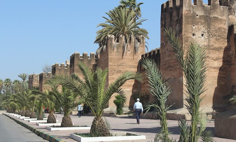 أسوار مدينة تارودانت