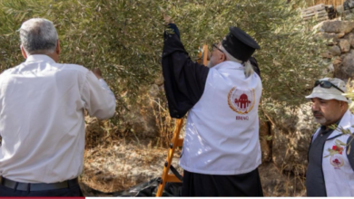 وكالة بيت مال القدس الشريف تواصل دعم المزارعين الفلسطينيين